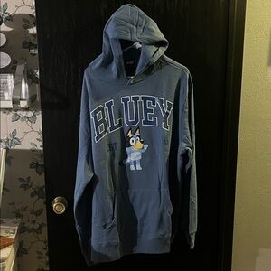Bluey Men's Graphic Hoodie in Blue new without 🏷️
